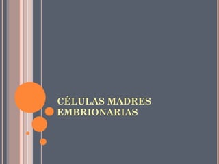 CÉLULAS MADRES
EMBRIONARIAS
 