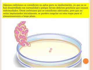Algunos embriones se consideran no aptos para su implantación, ya que no se
han desarrollado con normalidad o porque llevan defectos genéticos que causan
enfermedades. Otros embriones que se consideran adecuados, pero que no
están implantados inicialmente, se pueden congelar en esta etapa para el
almacenamiento a largo plazo.
 