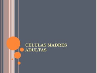 CÉLULAS MADRES
ADULTAS
 
