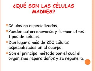 ¿QUÉ SON LAS CÉLULAS
MADRES?
Células no especializadas.
Pueden autorrenovarse y formar otros
tipos de células.
Dan lugar a más de 250 células
especializadas en el cuerpo.
Son el principal método por el cual el
organismo repara daños y se regenera.
 