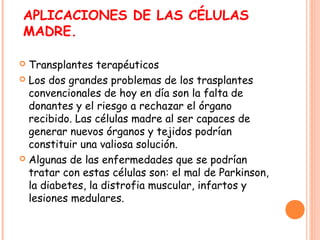 APLICACIONES DE LAS CÉLULAS
MADRE.
 Transplantes terapéuticos
 Los dos grandes problemas de los trasplantes
convencionales de hoy en día son la falta de
donantes y el riesgo a rechazar el órgano
recibido. Las células madre al ser capaces de
generar nuevos órganos y tejidos podrían
constituir una valiosa solución.
 Algunas de las enfermedades que se podrían
tratar con estas células son: el mal de Parkinson,
la diabetes, la distrofia muscular, infartos y
lesiones medulares.
 