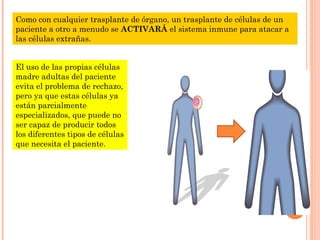Como con cualquier trasplante de órgano, un trasplante de células de un
paciente a otro a menudo se ACTIVARÁ el sistema inmune para atacar a
las células extrañas.
El uso de las propias células
madre adultas del paciente
evita el problema de rechazo,
pero ya que estas células ya
están parcialmente
especializados, que puede no
ser capaz de producir todos
los diferentes tipos de células
que necesita el paciente.
 