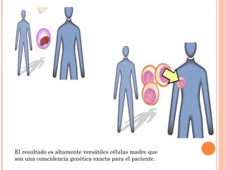 El resultado es altamente versátiles células madre que
son una coincidencia genética exacta para el paciente.
 
