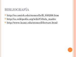 BIBLIOGRAFÍA
 http://ns.umich.edu/stemcells/B_030206.htm
 http://es.wikipedia.org/wiki/Célula_madre
 http://www.kumc.edu/stemcell/lecture.html
 