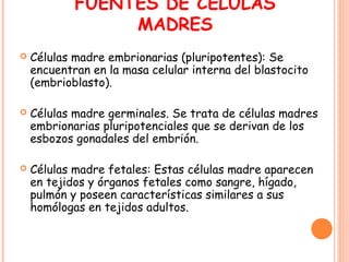 FUENTES DE CÉLULAS
MADRES
 Células madre embrionarias (pluripotentes): Se
encuentran en la masa celular interna del blastocito
(embrioblasto).
 Células madre germinales. Se trata de células madres
embrionarias pluripotenciales que se derivan de los
esbozos gonadales del embrión.
 Células madre fetales: Estas células madre aparecen
en tejidos y órganos fetales como sangre, hígado,
pulmón y poseen características similares a sus
homólogas en tejidos adultos.
 