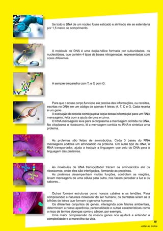 Se todo o DNA de um núcleo fosse esticado e alinhado ele se estenderia
por 1,5 metro de comprimento.




   A molécula de DNA é uma dupla-hélice formada por subunidades, os
nucleotídeos, que contém 4 tipos de bases nitrogenadas, representadas com
cores diferentes.




   A sempre emparelha com T, e C com G.




    Para que o nosso corpo funcione ele precisa das informações, ou receitas,
escritas no DNA em um código de apenas 4 letras: A, T, C e G. Cada receita
é um gene.
    A execução da receita começa pela cópia dessa informação para um RNA
mensageiro, feita com a ajuda de uma enzima.
    O RNA mensageiro leva para o citoplasma a mensagem contida no DNA.
No citoplasma o ribossomo, lê a mensagem contida no RNA e sintetiza uma
proteína.



    As proteínas são feitas de aminoácidos. Cada 3 bases do RNA
mensageiro codifica um aminoácido na proteína. Um outro tipo de RNA, o
RNA transportador, ajuda a traduzir a linguagem que veio do DNA para a
linguagem das proteínas.




    As moléculas de RNA transportador trazem os aminoácidos até os
ribossomos, onde eles são interligados, formando as proteínas.
    As proteínas desempenham muitas funções, controlam as reações,
levam mensagens de uma célula para outra, nos fazem perceber a luz e os
sabores...


    Outras formam estruturas como nossos cabelos e os tendões. Para
compreender a natureza molecular do ser humano, os cientistas leram os 3
bilhões de letras que formam o genoma humano.
    Os diferentes conjuntos de genes, interagindo com fatores ambientais,
determinam a nossa aparência, personalidade e outras características como
o risco de termos doenças como o câncer, por exemplo.
    Uma maior compreensão de nossos genes nos ajudará a entender a
complexidade e a maravilha da vida.
                                                                                  16
                                                                      voltar ao índice
 