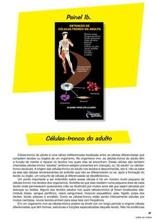 Painel 1b.




                         Células-tronco do adulto

    Célula-tronco do adulto é uma célula indiferenciada localizada entre as células diferenciadas que
compõem tecidos ou órgãos de um organismo. No organismo vivo, as células-tronco do adulto têm
a função de manter e reparar os tecidos nos quais elas se encontram. Essas células são também
chamadas células-tronco “adultas” (embora estejam presentes em crianças), ou “do adulto” ou células-
tronco teciduais. A origem das células-tronco do adulto nos tecidos é desconhecida, isto é, não se sabe
se elas são células remanescentes do embrião que não se diferenciaram ou se, após a formação do
tecido ou órgão, um conjunto de células já diferenciadas se desdiferenciou.
    Um ponto importante a ser entendido sobre essas células é há um número muito pequeno de
células-tronco nos tecidos dos organismos. Acredita-se que elas residam numa pequena área de cada
tecido onde permanecem quiescentes (não se dividindo) por muitos anos até que sejam ativadas por
doenças ou lesões. Alguns dos tecidos adultos nos quais células-tronco já foram localizadas são:
medula óssea, sangue periférico, vasos sanguíneos, músculo esquelético, pele, fígado, polpa dos
dentes, tecido adiposo e encéfalo. Como as células-tronco estão sendo intensamente estudas por
muitos cientistas, novos tecidos entram para essa lista com freqüência.
    Em um organismo vivo as células-tronco podem se dividir por um longo período e originar células
diferenciadas que têm formas, estruturas e funções especializadas daquele tecido. Não há evidências

                                                                                                            18
                                                                                                voltar ao índice
 