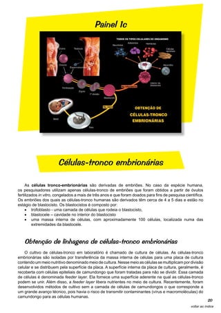 Painel 1c




                       Células-tronco embrionárias

     As células tronco-embrionárias são derivadas de embriões. No caso da espécie humana,
os pesquisadores utilizam apenas células-tronco de embriões que foram obtidos a partir de óvulos
fertilizados in vitro, congelados a mais de três anos e que foram doados para fins de pesquisa científica.
Os embriões dos quais as células-tronco humanas são derivados têm cerca de 4 a 5 dias e estão no
estágio de blastocisto. Os blastocistos é composto por:
     •	 trofoblasto - uma camada de células que rodeia o blastocisto,
     •	 blastocele – cavidade no interior do blastocisto
     •	 uma massa interna de células, com aproximadamente 100 células, localizada numa das
         extremidades da blastocele.



   Obtenção de linhagens de células-tronco embrionárias
    O cultivo de células-tronco em laboratório é chamado de cultura de células. As células-tronco
embrionárias são isoladas por transferência da massa interna de células para uma placa de cultura
contendo um meio nutritivo denominado meio de cultura. Nesse meio as células se multiplicam por divisão
celular e se distribuem pela superfície da placa. A superfície interna da placa de cultura, geralmente, é
recoberta com células epiteliais de camundongo que foram tratadas para não se dividir. Essa camada
de células é denominada feeder layer. Ela fornece uma superfície aderente na qual as células-tronco
podem se unir. Além disso, a feeder layer libera nutrientes no meio de cultura. Recentemente, foram
desenvolvidos métodos de cultivo sem a camada de células de camundongos o que corresponde a
um grande avanço técnico, pois havia o risco de transmitir contaminantes (vírus e macromoléculas) do
camundongo para as células humanas.
                                                                                                             20
                                                                                                  voltar ao índice
 