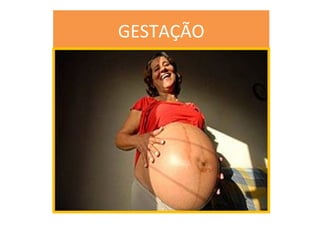 GESTAÇÃO 