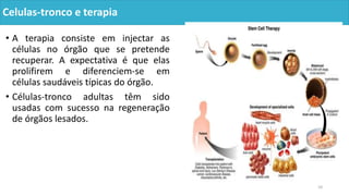 Celulas-tronco e terapia
• A terapia consiste em injectar as
células no órgão que se pretende
recuperar. A expectativa é que elas
prolifirem e diferenciem-se em
células saudáveis típicas do órgão.
• Células-tronco adultas têm sido
usadas com sucesso na regeneração
de órgãos lesados.
10
 