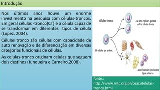 Introdução
Nos últimos anos houve um enorme
investimento na pesquisa com células-troncos.
Em geral células -tronco(CT) é a célula capaz de
se transformar em diferentes tipos de célula
(Lopez, 2004).
Células tronco são células com capacidade de
auto renovação e de diferenciação em diversas
categorias funcionais de células.
As celulas-tronco originam celulas que seguem
dois destinos (Junqueira e Carneiro,2008).
fonte.:
http://www.rntc.org.br/ceacutelulas-
tronco.html
2
 