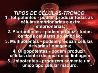TIPOS DE CÉLULAS-TRONCO 1. Totipotentes - podem produzir todas as células embrionárias e extra embrionárias; 2. Pluripotentes - podem produzir todos os tipos celulares do embrião;  3. Multipotentes - podem produzir células de várias linhagens;  4. Oligopotentes - podem produzir células dentro de uma única linhagem  5. Unipotentes - produzem somente um único tipo celular maduro.  