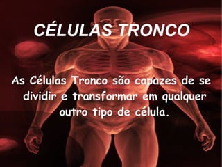 CÉLULAS TRONCO As Células Tronco são capazes de se dividir e transformar em qualquer outro tipo de célula. 