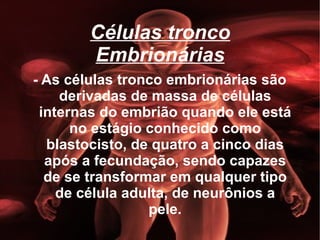 Células tronco Embrionárias - As células tronco embrionárias são derivadas de massa de células internas do embrião quando ele está no estágio conhecido como blastocisto, de quatro a cinco dias após a fecundação, sendo capazes de se transformar em qualquer tipo de célula adulta, de neurônios a pele. 
