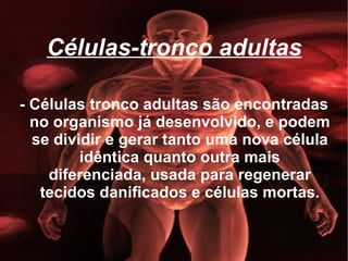 Células-tronco adultas - Células tronco adultas são encontradas no organismo já desenvolvido, e podem se dividir e gerar tanto uma nova célula idêntica quanto outra mais diferenciada, usada para regenerar tecidos danificados e células mortas. 