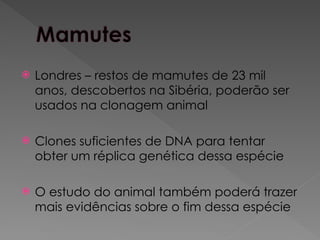  Londres – restos de mamutes de 23 mil
anos, descobertos na Sibéria, poderão ser
usados na clonagem animal
 Clones suficientes de DNA para tentar
obter um réplica genética dessa espécie
 O estudo do animal também poderá trazer
mais evidências sobre o fim dessa espécie
 