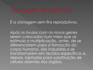 • É a clonagem sem fins reprodutivos.
• Após os óvulos com os novos genes
serem colocados num meio que os
estimula a multiplicação, antes, de se
diferenciarem para a formação do
corpo humano, são induzidas a se
transformarem em tecidos específicos e,
depois, injetadas para substituição de
células doentes dos órgãos.
 