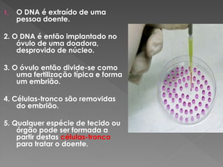 1. O DNA é extraído de uma
pessoa doente.
2. O DNA é então implantado no
óvulo de uma doadora,
desprovido de núcleo.
3. O óvulo então divide-se como
uma fertilização típica e forma
um embrião.
4. Células-tronco são removidas
do embrião.
5. Qualquer espécie de tecido ou
órgão pode ser formada a
partir destas células-tronco
para tratar o doente.
 