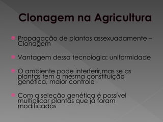  Propagação de plantas assexuadamente –
Clonagem
 Vantagem dessa tecnologia: uniformidade
 O ambiente pode interferir,mas se as
plantas tem a mesma constituição
genética, maior controle
 Com a seleção genética é possível
multiplicar plantas que já foram
modificadas
 