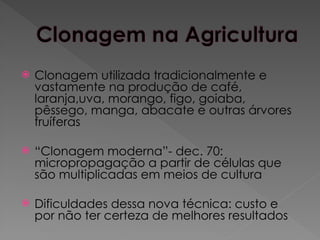  Clonagem utilizada tradicionalmente e
vastamente na produção de café,
laranja,uva, morango, figo, goiaba,
pêssego, manga, abacate e outras árvores
fruíferas
 “Clonagem moderna”- dec. 70:
micropropagação a partir de células que
são multiplicadas em meios de cultura
 Dificuldades dessa nova técnica: custo e
por não ter certeza de melhores resultados
 