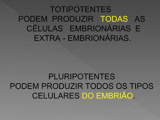TOTIPOTENTES
PODEM PRODUZIR TODAS AS
CÉLULAS EMBRIONÁRIAS E
EXTRA - EMBRIONÁRIAS.
PLURIPOTENTES
PODEM PRODUZIR TODOS OS TIPOS
CELULARES DO EMBRIÃO.
 