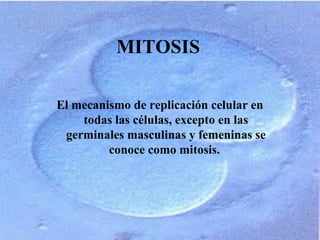 MITOSIS
El mecanismo de replicación celular en
todas las células, excepto en las
germinales masculinas y femeninas se
conoce como mitosis.
 