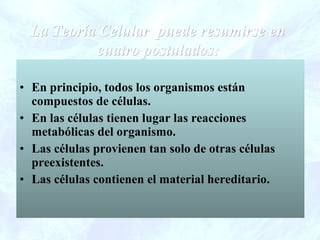 • En principio, todos los organismos están
compuestos de células.
• En las células tienen lugar las reacciones
metabólicas del organismo.
• Las células provienen tan solo de otras células
preexistentes.
• Las células contienen el material hereditario.
La Teoría Celular puede resumirse enLa Teoría Celular puede resumirse en
cuatro postulados:cuatro postulados:
 