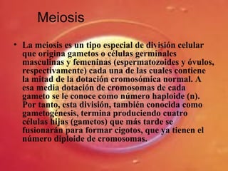 Meiosis
• La meiosis es un tipo especial de división celular
que origina gametos o células germinales
masculinas y femeninas (espermatozoides y óvulos,
respectivamente) cada una de las cuales contiene
la mitad de la dotación cromosómica normal. A
esa media dotación de cromosomas de cada
gameto se le conoce como número haploide (n).
Por tanto, esta división, también conocida como
gametogénesis, termina produciendo cuatro
células hijas (gametos) que más tarde se
fusionarán para formar cigotos, que ya tienen el
número diploide de cromosomas.
 