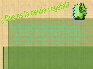La célula vegetal es la célula de las plantas; ya que
estas llevan a cabo el proceso de la fotosíntesis. La
célula vegetal y la célula animal no son exactamente
iguales, aunque coinciden en algunos organelos, la
célula vegetal tiene partes que la animal no tiene.
 
 