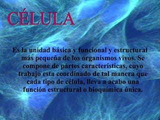 Es la unidad básica y funcional y estructural
más pequeña de los organismos vivos. Se
compone de partes características, cuyo
trabajo esta coordinado de tal manera que
cada tipo de célula, lleva a acabo una
función estructural o bioquímica única.
 