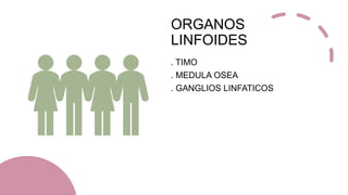 ORGANOS
LINFOIDES
. TIMO
. MEDULA OSEA
. GANGLIOS LINFATICOS
 