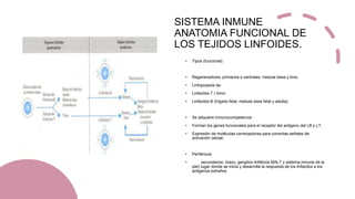 SISTEMA INMUNE
ANATOMIA FUNCIONAL DE
LOS TEJIDOS LINFOIDES.
• Tipos (funcional):
• Regeneradores, primarios o centrales: medula ósea y timo.
• Linfopoyesis de:
• Linfacitos T ( timo)
• Linfacitos B (hígado fetal, medula ósea fetal y adulta).
• Se adquiere inmunocompetencia :
• Forman los genes funcionales para el receptor del antigeno del LB y LT.
• Expresión de moléculas correceptoras para correctas señales de
activación celular.
• Periféricos:
• secundarios; (bazo, ganglios linfáticos MALT y sistema inmune de la
piel) lugar donde se inicia y desarrolla la respuesta de los linfacitos a los
antigenos extraños.
 