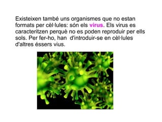 Existeixen també uns organismes que no estan
formats per cèl·lules: són els virus. Els virus es
caracteritzen perquè no es poden reproduir per ells
sols. Per fer-ho, han d'introduir-se en cèl·lules
d'altres éssers vius.
 
