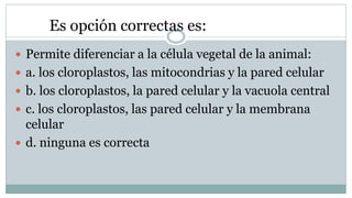  Permite diferenciar a la célula vegetal de la animal:
 a. los cloroplastos, las mitocondrias y la pared celular
 b. los cloroplastos, la pared celular y la vacuola central
 c. los cloroplastos, las pared celular y la membrana
celular
 d. ninguna es correcta
Es opción correctas es:
 