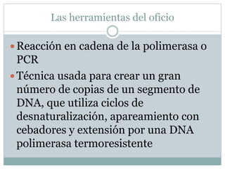 Las herramientas del oficio
 Reacción en cadena de la polimerasa o
PCR
 Técnica usada para crear un gran
número de copias de un segmento de
DNA, que utiliza ciclos de
desnaturalización, apareamiento con
cebadores y extensión por una DNA
polimerasa termoresistente
 