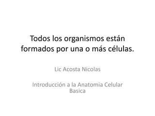 Todos los organismos están
formados por una o más células.
Lic Acosta Nicolas
Introducción a la Anatomia Celular
Basica
 