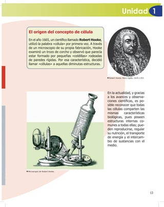 Unidad 1
13
Microscopio de Robert Hooke.
El origen del concepto de célula
En el año 1665, un cientí¿co llamado Robert Hooke,
utilizó la palabra «célula» por primera vez. A través
de un microscopio de su propia fabricación, Hooke
examinó un trozo de corcho y observó que parecía
estar formado por pequeñas «celdillas» rodeadas
de paredes rígidas. Por esa característica, decidió
llamar «células» a aquellas diminutas estructuras.
Robert Hooke, físico inglés, 1635-1703.
En la actualidad, y gracias
a los avances y observa-
ciones cientí¿cas, es po-
sible reconocer que todas
las células comparten las
mismas características
biológicas, pues poseen
estructuras internas co-
munes a todas ellas; pue-
den reproducirse, regular
su nutrición, el transporte
de energía y el intercam-
bio de sustancias con el
medio.
 