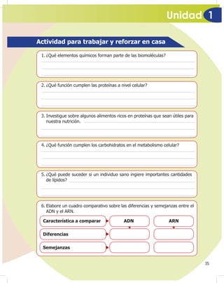 Unidad 1
35
Actividad para trabajar y reforzar en casa
Característica a comparar ADN ARN
Diferencias
Semejanzas
1. ¿Qué elementos químicos forman parte de las biomoléculas?
2. ¿Qué función cumplen las proteínas a nivel celular?
3. Investigue sobre algunos alimentos ricos en proteínas que sean útiles para
nuestra nutrición.
4. ¿Qué función cumplen los carbohidratos en el metabolismo celular?
5. ¿Qué puede suceder si un individuo sano ingiere importantes cantidades
de lípidos?
6. Elabore un cuadro comparativo sobre las diferencias y semejanzas entre el
ADN y el ARN.
 