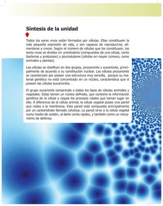 36
Síntesis de la unidad
Todos los seres vivos están formados por células. Ellas constituyen la
más pequeña expresión de vida, y son capaces de reproducirse, ali-
mentarse y crecer. Según el número de células que los constituyen, los
seres vivos se dividen en unicelulares (compuestos de una célula, como
bacterias y protozoos) y pluricelulares (células en mayor número, como
animales y plantas).
Las células se clasi¿can en dos grupos, procarionte y eucarionte, princi-
palmente de acuerdo a su constitución nuclear. Las células procarionte
se caracterizan por poseer una estructura muy sencilla, porque su ma-
terial genético no está concentrado en un núcleo, característica que sí
poseen las células eucariontes.
El grupo eucarionte comprende a todos los tipos de células animales y
vegetales. Estas tienen un núcleo de¿nido, que contiene la información
genética de la célula y regula los procesos vitales que toman lugar en
ella. A diferencia de la célula animal, la célula vegetal posee una pared
que rodea a la membrana. Esta pared está compuesta principalmente
por un carbohidrato llamado celulosa. La pared sirve a la célula vegetal
como medio de sostén, al darle cierta rigidez, y también como un meca-
nismo de defensa.
 