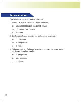 38
Autoevaluación
Escoja la letra de la alternativa correcta:
1. Es una característica de las células animales:
a) Están rodeadas por una pared celular
b) Contienen cloroplastos
c) Ninguna
2. Es el organelo que controla las actividades celulares:
a) El ribosoma
b) El citoplasma
c) El núcleo
3. Es la parte de la célula que se compone mayormente de agua y
nutrientes disueltos en ella.
a) El citoplasma
b) La membrana
c) El núcleo
 