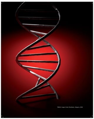 Unidad 1
41
ADN, imagen Svilen Mushkatov, Bulgaria, 2008.
 