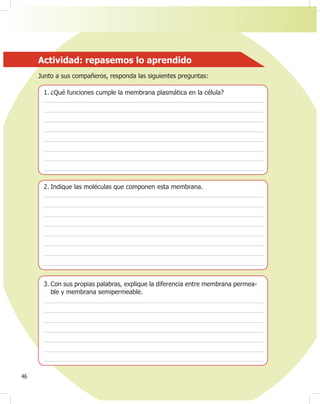 46
Actividad: repasemos lo aprendido
Junto a sus compañeros, responda las siguientes preguntas:
1. ¿Qué funciones cumple la membrana plasmática en la célula?
2. Indique las moléculas que componen esta membrana.
3. Con sus propias palabras, explique la diferencia entre membrana permea-
ble y membrana semipermeable.
 