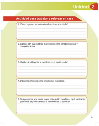 Unidad 2
55
Actividad para trabajar y reforzar en casa
1. ¿Cómo ingresan las sustancias alimenticias a la célula?
2. Explique con sus palabras, la diferencia entre transporte pasivo y
transporte activo.
3. ¿Cuál es la utilidad de la exocitosis en el medio celular?
4. Indique la diferencia entre pinocitosis y fagocitosis.
5. Si observamos una planta cuyas hojas están marchitas, ¿qué explicación
podríamos dar, considerando el fenómeno de la ósmosis?
 