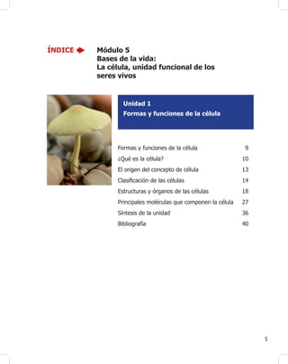Unidad 1
5
ÍNDICE Módulo 5
Bases de la vida:
La célula, unidad funcional de los
seres vivos
Unidad 1
Formas y funciones de la célula
Formas y funciones de la célula 9
¿Qué es la célula? 10
El origen del concepto de célula 13
Clasi¿cación de las células 14
Estructuras y órganos de las células 18
Principales moléculas que componen la célula 27
Síntesis de la unidad 36
Bibliografía 40
 