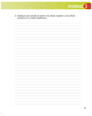 Unidad 2
59
2. Explique que sucede al poner una célula vegetal o una célula
animal en un medio hipotónico.
 