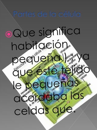 Partes de la célulaQue significa habitación pequeña ) ; ya que éste tejido le pequeñas acordaba las celdas que. 