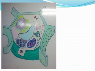 Célula
vegetal

La célula vegetal adulta se
distingue de otras células
eucariotas, como las células
típicas de los animales o las
de los hongos, por lo que es
descrita a menudo con los
rasgos de una célula del
parénquima asimilador de
una planta vascular. Pero
sus características no
pueden generalizarse al
resto de las células de una
planta, meristemáticas o
adultas, y menos aún a las

 