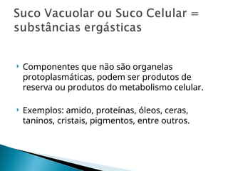  Componentes que não são organelas
protoplasmáticas, podem ser produtos de
reserva ou produtos do metabolismo celular.
 Exemplos: amido, proteínas, óleos, ceras,
taninos, cristais, pigmentos, entre outros.
 