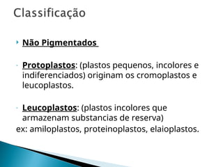  Não Pigmentados
- Protoplastos: (plastos pequenos, incolores e
indiferenciados) originam os cromoplastos e
leucoplastos.
- Leucoplastos: (plastos incolores que
armazenam substancias de reserva)
ex: amiloplastos, proteinoplastos, elaioplastos.
 
