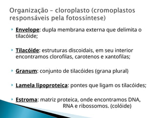  Envelope: dupla membrana externa que delimita o
tilacóide;
 Tilacóide: estruturas discoidais, em seu interior
encontramos clorofilas, carotenos e xantofilas;
 Granum: conjunto de tilacóides (grana plural)
 Lamela lipoproteica: pontes que ligam os tilacóides;
 Estroma: matriz proteica, onde encontramos DNA,
RNA e ribossomos. (colóide)
 